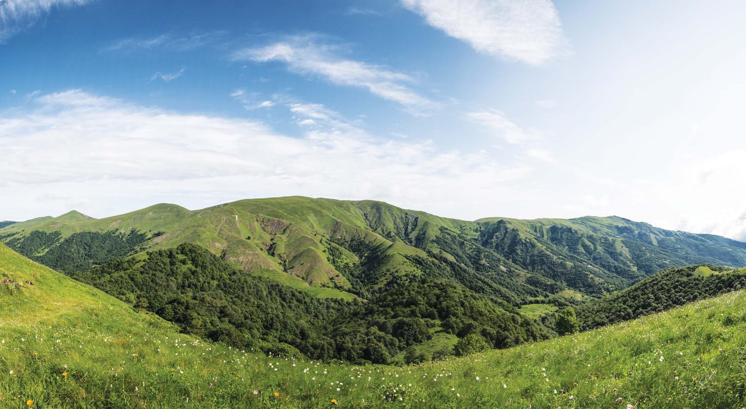 Algeti National Park Adventure – BIST