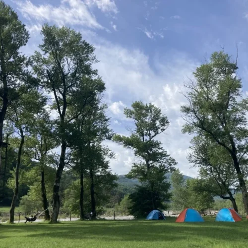 International Award (22)