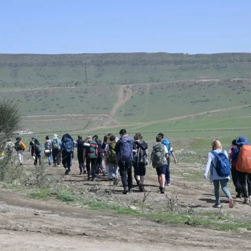 International Award (24)