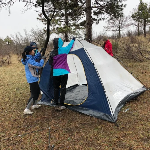 International Award (3)