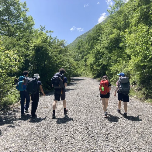 International Award (33)