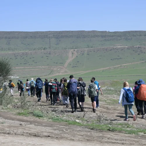 International Award (34)