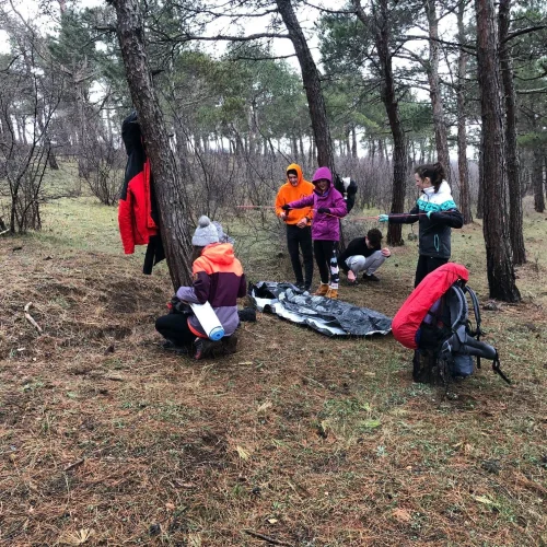 International Award (6)