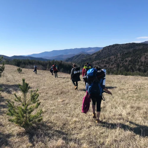 International Award (7)