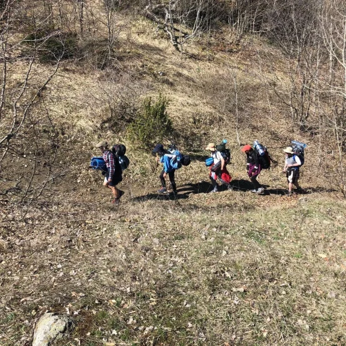 International Award (8)